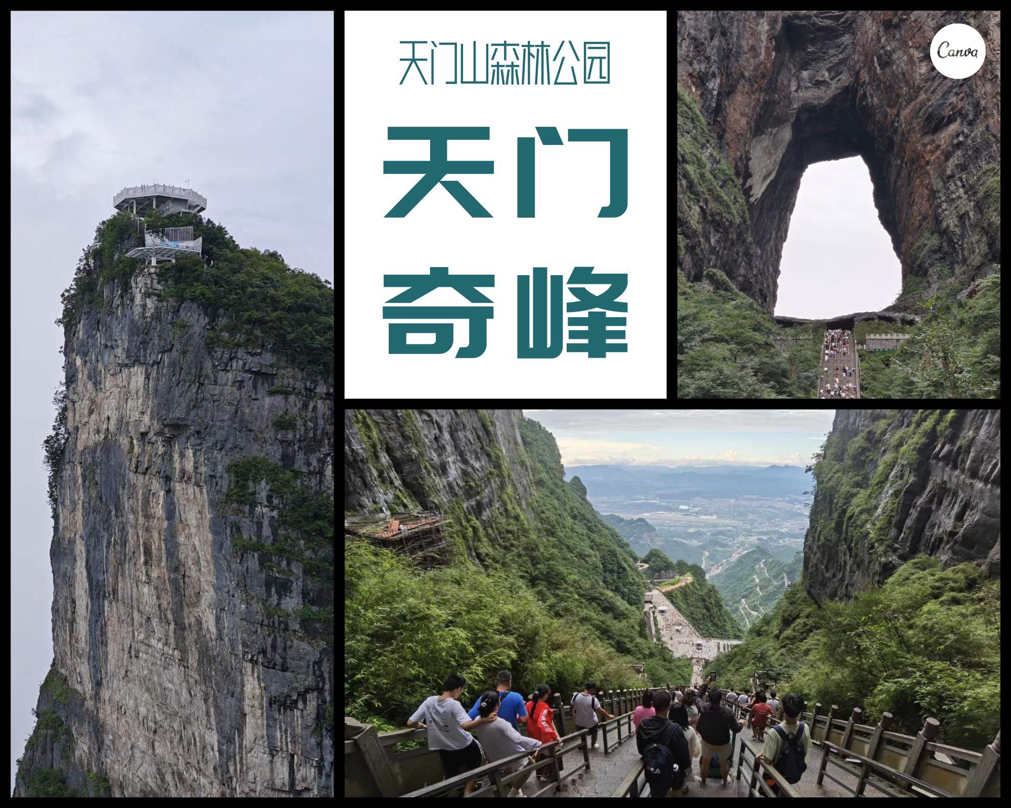 1722843754950628.jpg 1722843754950628.jpg